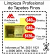 limpieza-profesional-de-tapetes-finos-