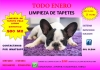 LIMPIEZA-DE-TAPETE-PELO-LARGO