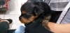 2019/05/tbs7m50pxgrz.jpg