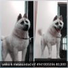 2019/07/myqns35w6jc7.jpg