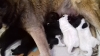2019/07/xvk3gf6j8y1c.jpg